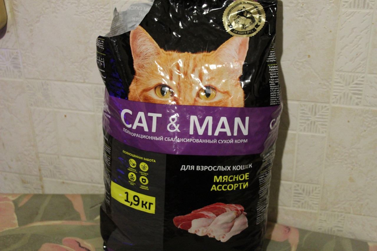 CatMan